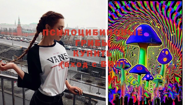 экстази Пестово