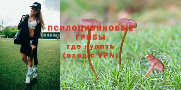 мескалин Кулебаки