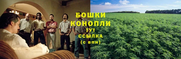 гашик Куйбышев