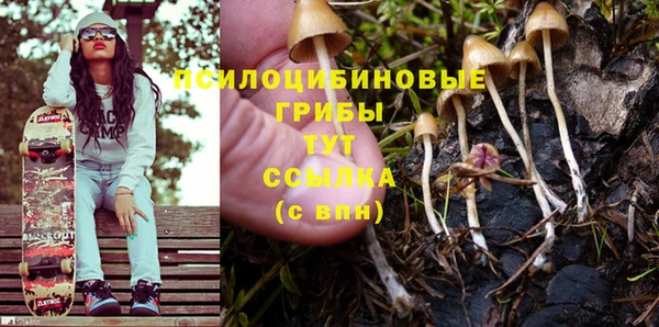 гашик Куйбышев