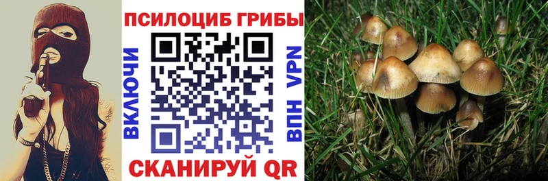 Псилоцибиновые грибы GOLDEN TEACHER  как найти наркотики  Славянск-на-Кубани 