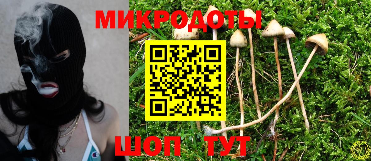 где можно купить   Славянск-на-Кубани  Галлюциногенные грибы MAGIC MUSHROOMS  Псилоцибиновые грибы мухоморы 