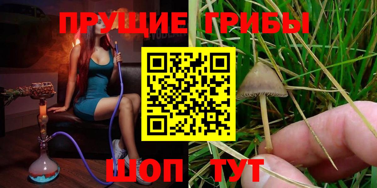 Славянск-на-Кубани  Псилоцибиновые грибы GOLDEN TEACHER  Вход с VPN  Галлюциногенные грибы MAGIC MUSHROOMS 