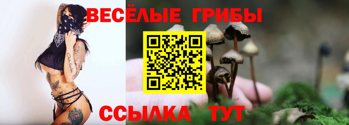 Галлюциногенные грибы мицелий Славянск-на-Кубани